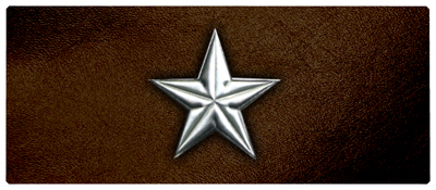 DNSEMP-L-430-SL-BR Star Silver-Brown